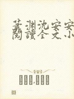 萧渊沈安安免费阅读全文小说