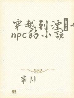 穿越到湮婸世界npc的小说