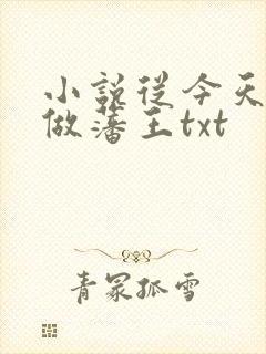 小说从今天开始做藩王txt