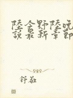 陆今野陆晚笙小说最新章节更新封面