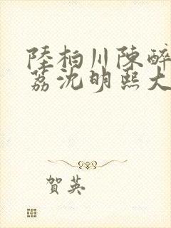 陆柏川陈醉许佳荔沈明熙大结局封面