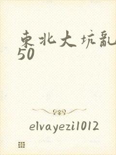 东北大坑乱1—50