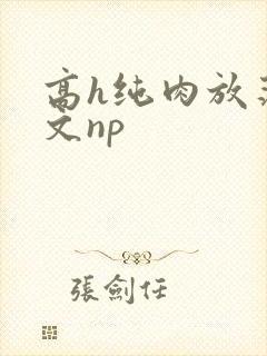 高h纯肉放荡h文np