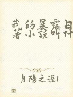 我的暴露日记原著小说叫什么