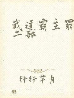 武道霸主罗峰第二部