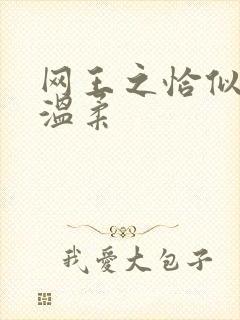 网王之恰似你的温柔