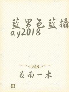 蓝男色蓝摄摄gay2018