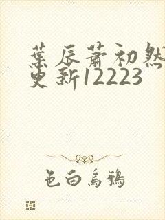 叶辰萧初然最新更新12223封面