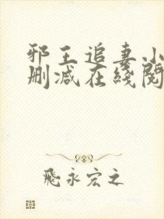 邪王追妻小说无删减在线阅读