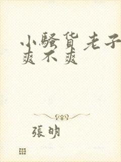 小骚货老子操你爽不爽封面