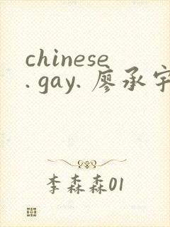 chinese. gay. 廖承宇