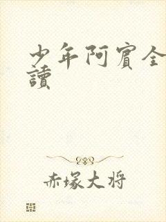 少年阿宾全集阅读封面