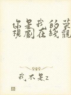 你是我的荣耀电视剧在线观看免费