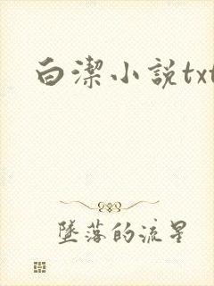 白洁小说txt封面
