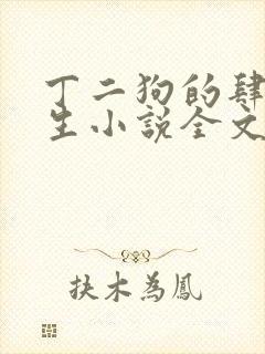 丁二狗的肆意人生小说全文听