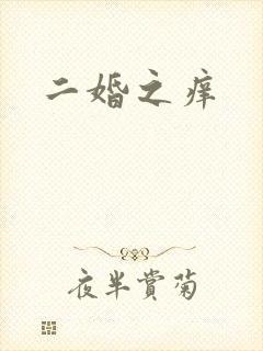 二婚之痒