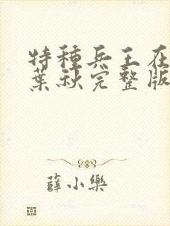 特种兵王在山村叶秋完整版封面