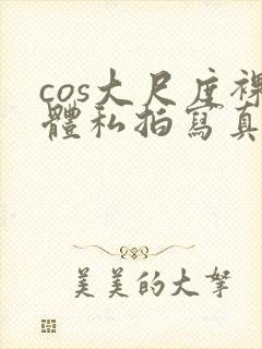 cos大尺度裸体私拍写真封面