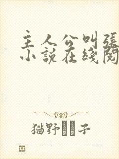 主人公叫张晨的小说在线阅读