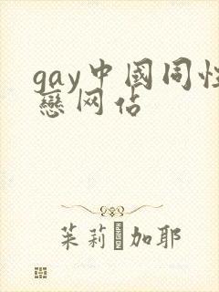 gay中国同性恋网站