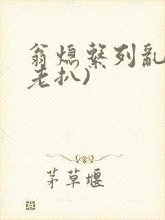 翁熄系列乱 (老扒)封面