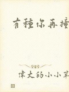 有种你再撞一下