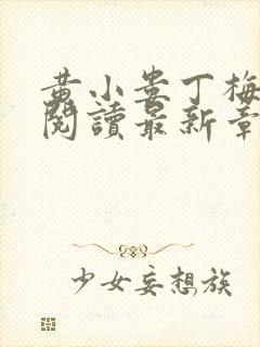 黄小娄丁梅免费阅读最新章节封面