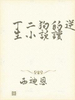 丁二狗的逆袭人生小说读