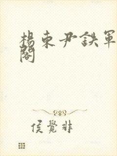 杨东尹铁军笔趣阁