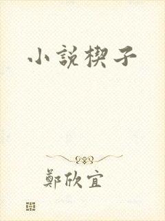 小说楔子