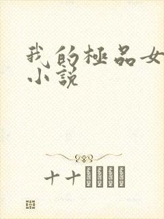 我的极品女老师小说