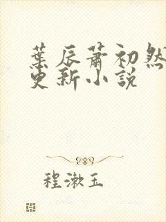 叶辰萧初然最快更新小说