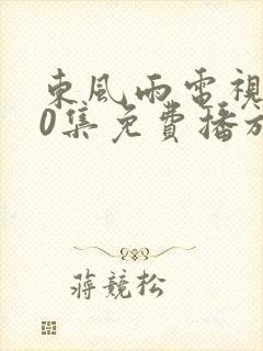 东风雨电视剧40集免费播放在线观看封面