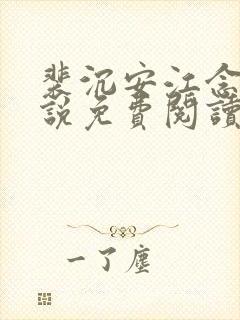 裴沉安江念意小说免费阅读最新章节