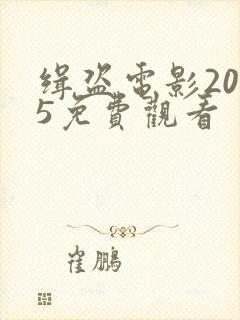 缉盗电影2025免费观看