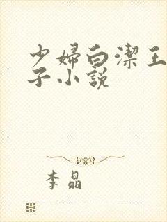 少妇白洁王申东子小说