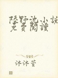 陆野沈小说全文免费阅读