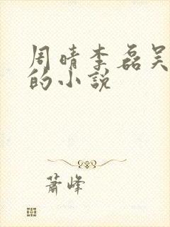 周晴李磊吴云峰的小说