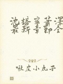 沈榕宁萧泽小说最新章节全文阅读封面