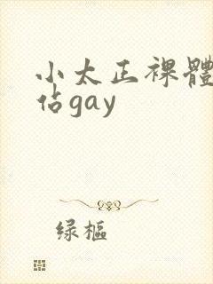 小太正裸体黄网站gay