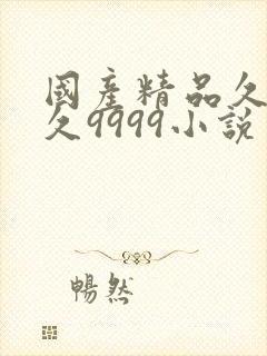 国产精品久久久久9999小说封面