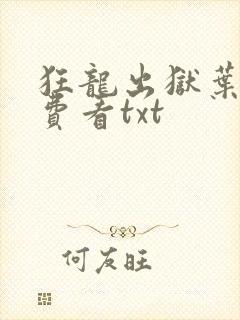 狂龙出狱叶风免费看txt