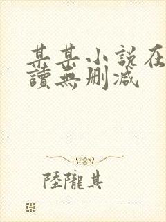 某某小说在线阅读无删减封面