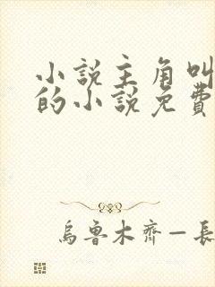 小说主角叫叶诚的小说免费阅读