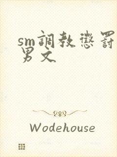 sm调教惩罚男男文