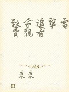 致命追击电影免费观看