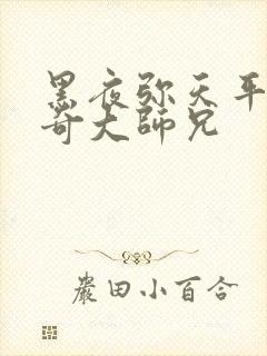 黑夜弥天平平无奇大师兄封面