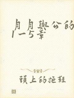 月月与公的激情1一5章