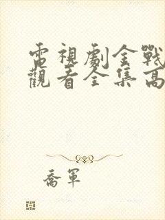 电视剧金战免费观看全集高清封面