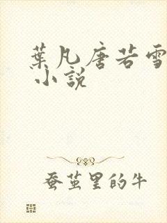 叶凡唐若雪医婿 小说